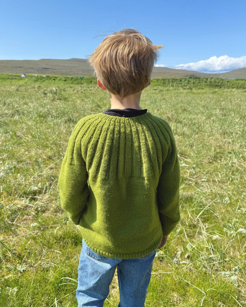 Dreng med grøn Haralds Sweater
