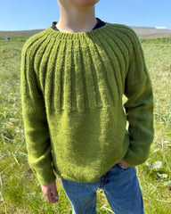 Dreng med grøn Haralds Sweater
